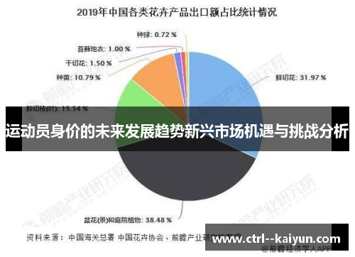 运动员身价的未来发展趋势新兴市场机遇与挑战分析 运动员身价的未来发展趋势新兴市场机遇与挑战分析