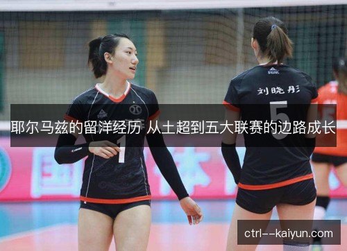 耶尔马兹的留洋经历 从土超到五大联赛的边路成长